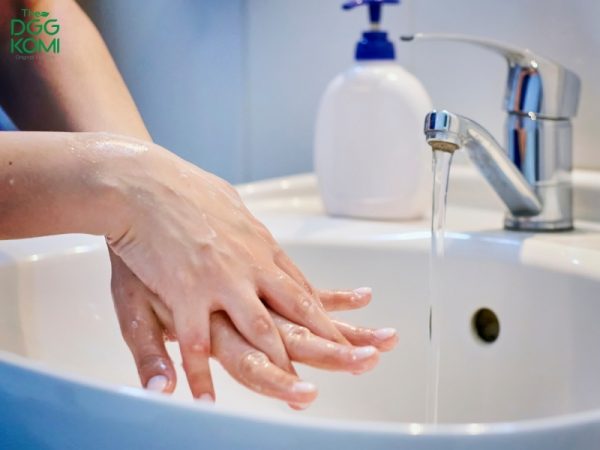Rửa tay ngay bằng nước sạch